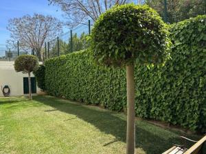 Vonkajšia záhrada v ubytovaní Three bedroom apartment, PRIME Javea location