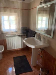 a bathroom with a sink and a toilet and a mirror at Camera Delux matrimoniale in Serina