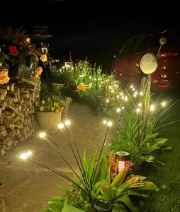 a garden with lights in a yard at night at Apartments Krista in Seeboden