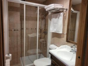 La salle de bains est pourvue d'une douche, de toilettes et d'un lavabo. dans l'établissement Apartamentos Casa Español, à Broto