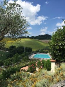 a garden with a swimming pool in a field at La Bargnina in Serrungarina