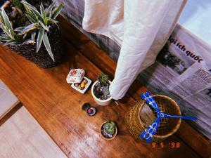 una mesa de madera con plantas y otros artículos. en Cocal Home Phu Quoc Fishing Village, en Phu Quoc