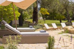 Gallery image of Olea Pool Villa, Elani #FeelsLikeHome in Kassandria