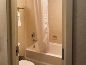 ein Bad mit einer Badewanne, einem WC und einer Dusche in der Unterkunft The Boardwalk Inn in Branson
