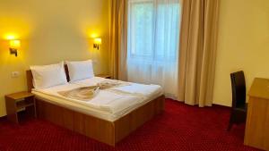 a hotel room with a bed with a large window at Hotel Termal in Geoagiu Băi