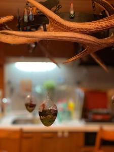 two wine glasses on a shelf in a kitchen at ぜーんぶ貸切!! 大自然の森に佇む秘密の隠れ家で心と身体を解放する... in Yuzawa