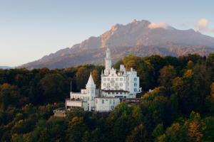 a castle on a hill with a mountain in the background at Château Gütsch in Lucerne