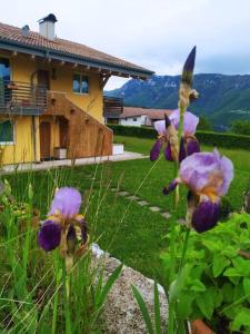 un jardín con flores púrpuras frente a una casa en Il Biancospino Appartamento in Villa, 