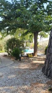 un parque con un árbol y una piscina en Villa Provençale la dolce vita, en Villeneuve-lès-Avignon