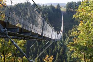 a train on a suspension bridge in the forest at 2tHEIMAT - Hotel & Restaurant in Morbach
