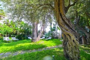 un parco con sedie e alberi in erba di Hotel Baia Delle Sirene a Taormina