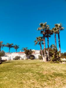 拉古什的住宿－Quinta da Bela Vista，公园内种有棕榈树的建筑