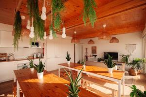 a kitchen with a wooden ceiling with potted plants at We Surf House in Figueira da Foz