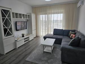 a living room with a couch and a tv at Apartament Cristal in Arad