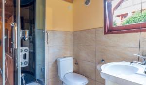 a bathroom with a toilet and a sink and a shower at BUENA VISTA POLAŃCZYK domki z klimatyzacją 506 - 289 - 019 in Polańczyk