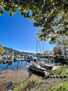 a group of boats docked in a harbor at Bodensee Loft in Strandnähe in Lochau