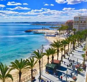 a view of a beach with palm trees and the ocean at 49 Laguna Beach in Torrevieja