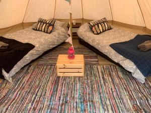 two beds in a tent with a wooden table at IntentsGP @ Isle of Man TT, IOMTT in Douglas