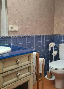 ein Bad mit einem WC und einer blau gefliesten Wand in der Unterkunft Acogedora Suite con entrada independiente in El Puerto de Santa María