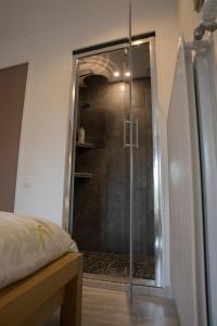 a shower in a bedroom with a glass door at Agréable logement indépendant avec véranda in Vienne