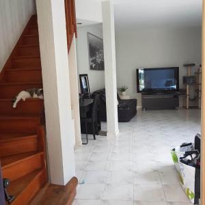 un gato tirado en el suelo en una sala de estar en Duxplex aux Portes Monaco, en Beausoleil