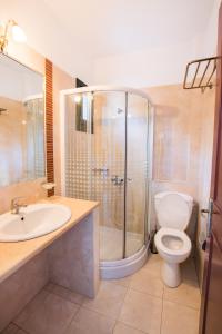 a bathroom with a shower and a toilet and a sink at Kyra Panagia Hotel in Kyra Panagia