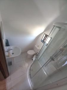 un bagno con doccia, WC e lavandino di Glamping Pod a Prodhromi
