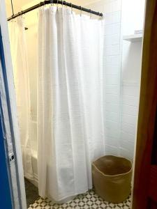 a bathroom with a shower curtain and a trash can at Crown Heights Charmer with private backyard access in Brooklyn