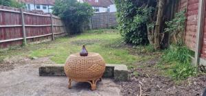eine Korbvase, die in einem Garten neben einem Zaun sitzt in der Unterkunft Home In Harrow/Wembley in Harrow on the Hill