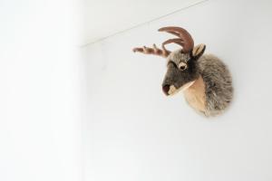 a moose head hanging on a wall at Cocoon am Schloß in Lochau