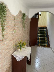 Fotografie z fotogalerie ubytování Đana v destinaci Cres