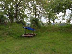a blue boat on a table in a field at Susanna NEU mit Netflix in Bruchweiler