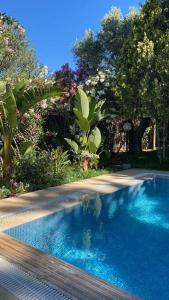 Bazén v ubytování Private Pool-Very Big Garden Villa nebo v jeho okolí