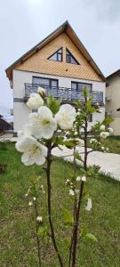two white flowers in front of a house at Casuta Noastra - Sulina in Sulina