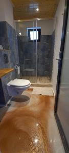 Um banheiro em Casuta Noastra - Sulina