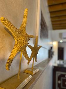 Dos estrellas de mar en un estante en una habitación en Bab al-sham funduk en ‘Akko