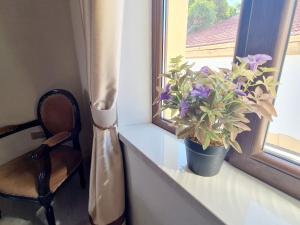 Фотография из галереи SOFIA BOUTIQUE HOTEL в Кирении