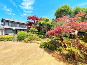 een tuin voor een huis met kleurrijke bomen bij Iriyama-So in Shimoda