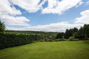 a large yard with a hedge and a blue sky with clouds at Stables in Little Dean