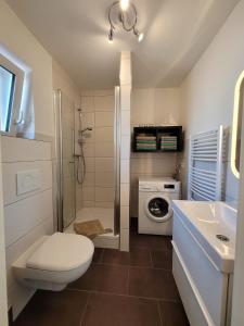 een badkamer met een toilet, een wastafel en een wasmachine bij Ferienhaus Jäger in Mörlenbach