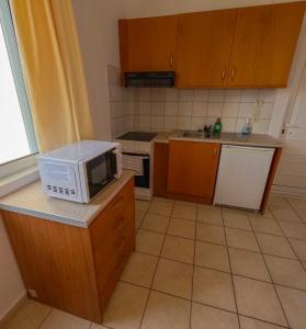 a kitchen with a microwave on top of a counter at Monachus Monachus in Frangokastello