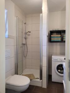 a bathroom with a shower with a toilet and a washing machine at Ferienhaus Jäger in Mörlenbach