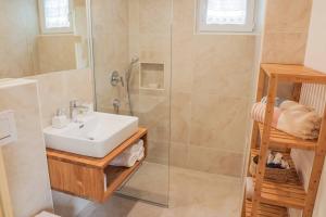 ein Bad mit einem Waschbecken und einer Dusche in der Unterkunft Tiny Eko House Bovec in Bovec