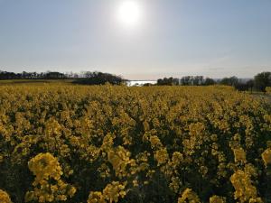 Naturlandschaft in der Nähe der Ferienwohnung