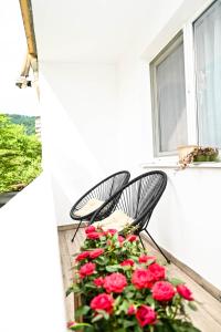 2 sedie sedute su un balcone con rose rosse di Dreambed 1 a Baia Mare