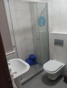 a bathroom with a shower and a toilet and a sink at Elena's flat in Kumanovo
