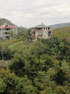 una casa en la cima de una colina con árboles en Morsalkım konağı, en Trabzon