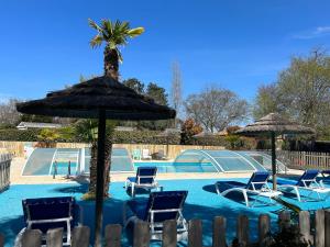 a pool with chairs and an umbrella and a palm tree at Mobile home Grand Confort 30m² Modèle 1 in Arès