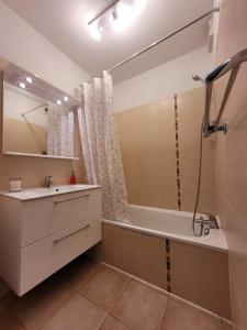 a bathroom with a tub and a sink and a shower at LA NORIA rez de chaussée avec parking en résidence fermée in Aucamville