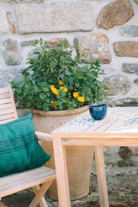 a table and a chair next to a potted plant at The Quixote House in Caminha
